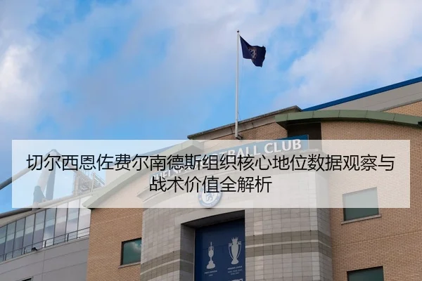 切尔西恩佐费尔南德斯组织核心地位数据观察与战术价值全解析
