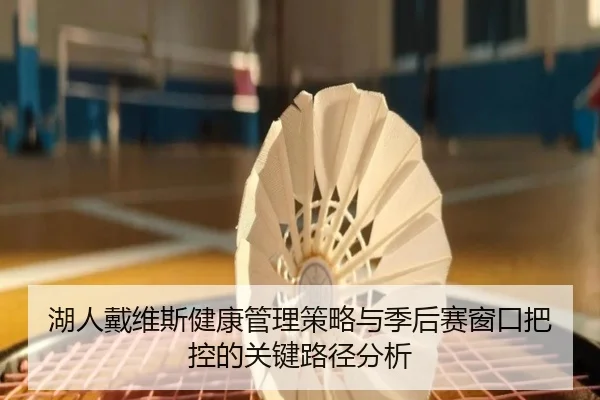 湖人戴维斯健康管理策略与季后赛窗口把控的关键路径分析