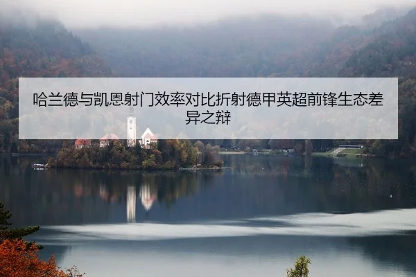 哈兰德与凯恩射门效率对比折射德甲英超前锋生态差异之辩